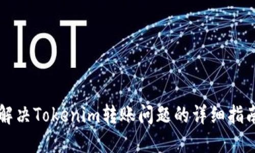 解决Tokenim转账问题的详细指南