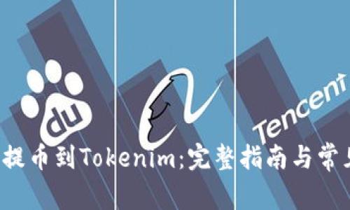 如何将FIL提币到Tokenim：完整指南与常见问题解答