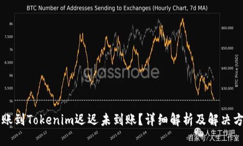 转账到Tokenim迟迟未到账？详细解析及解决方案