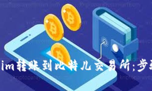 如何将Tokenim转账到比特儿交易所：步骤与注意事项