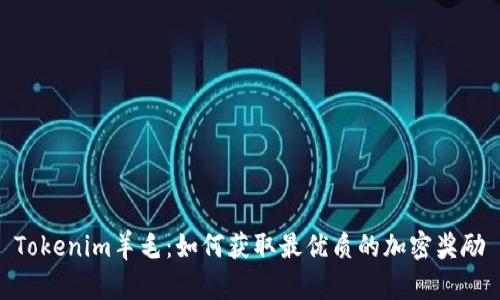 Tokenim羊毛：如何获取最优质的加密奖励