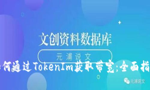 如何通过TokenIm获取带宽：全面指南