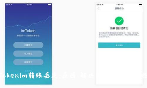 Tokenim转账丢失：原因、解决方案及预防措施