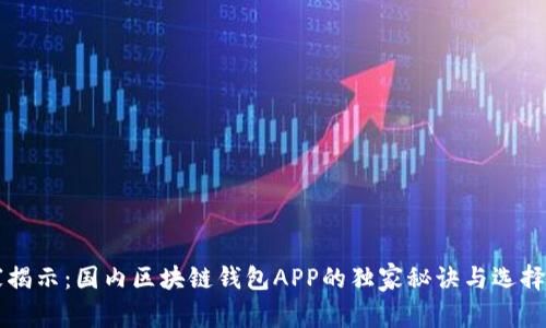 专家揭示：国内区块链钱包APP的独家秘诀与选择指南