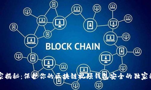 专家揭秘：保护你的区块链视频钱包安全的独家秘诀