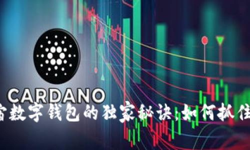 揭秘元宇宙数字钱包的独家秘诀：如何抓住风口机遇？