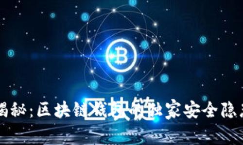区块链专家揭秘：区块链钱包的独家安全隐患及应对秘诀