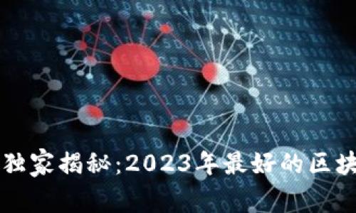 中国区块链专家独家揭秘：2023年最好的区块链平台及其秘诀