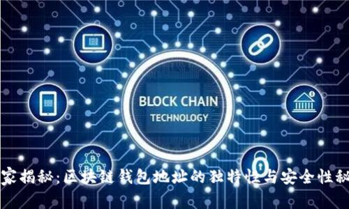 专家揭秘：区块链钱包地址的独特性与安全性秘诀