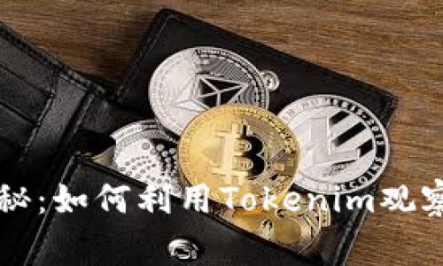 专家独家揭秘：如何利用Tokenim观察钱包的秘诀