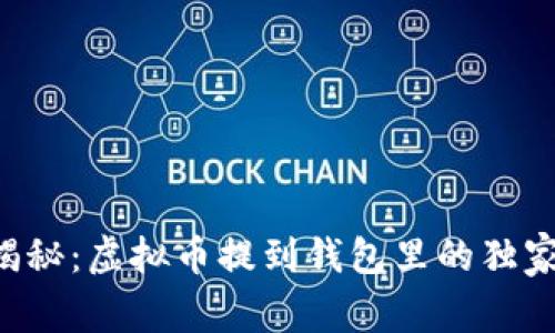 专家揭秘：虚拟币提到钱包里的独家秘诀！