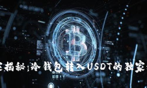 专家揭秘：冷钱包转入USDT的独家秘诀