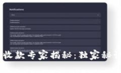 Tokenim冷钱包收款专家揭秘