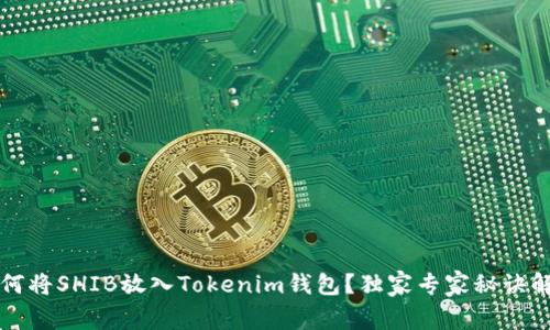 如何将SHIB放入Tokenim钱包？独家专家秘诀解析