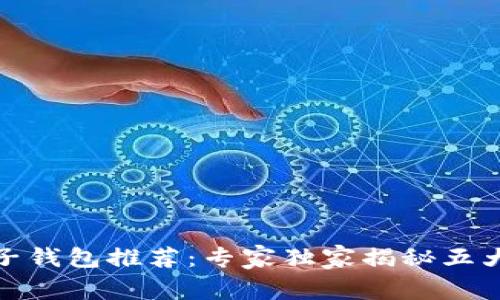 数字币电子钱包推荐：专家独家揭秘五大使用秘诀