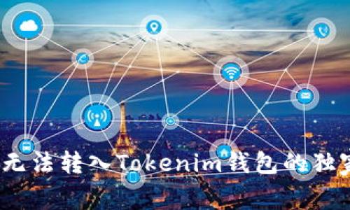 专家揭秘：平台币无法转入Tokenim钱包的独家秘诀与解决方案