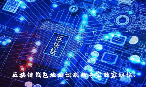 区块链钱包地址识别的专家独家秘诀！