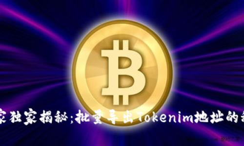专家独家揭秘：批量导出Tokenim地址的秘诀