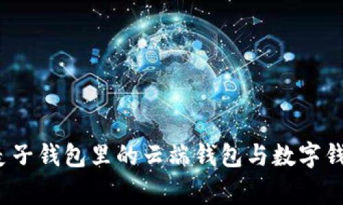 专家揭秘：麦子钱包里的云端钱包与数字钱包独家秘诀