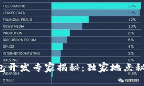 区块链钱包开发专家揭秘：独家地点秘诀大公开！