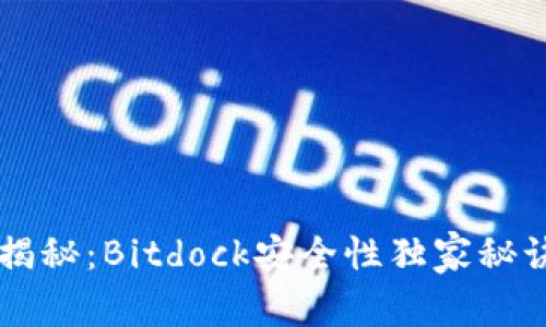 专家揭秘：Bitdock安全性独家秘诀解析