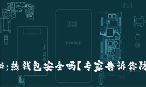 独家揭秘：热钱包安全吗？专家告诉你防盗秘诀！