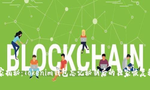 专家揭秘：Tokenim钱包忘记秘钥后的独家恢复秘诀
