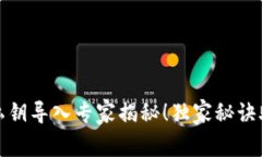 比特派钱包私钥导入专家