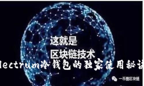 专家揭秘：Electrum冷钱包的独家使用秘诀与安全策略
