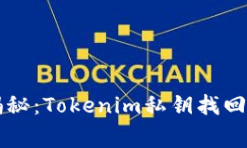 专家独家揭秘：Tokenim私钥找回钱包的秘诀