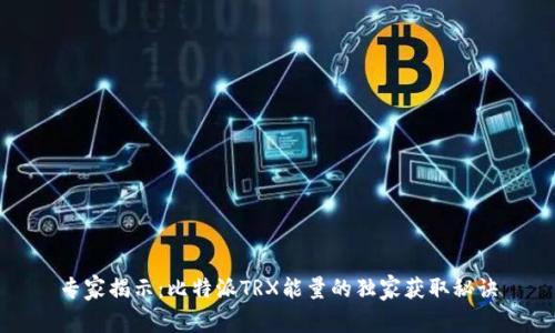 专家揭示：比特派TRX能量的独家获取秘诀