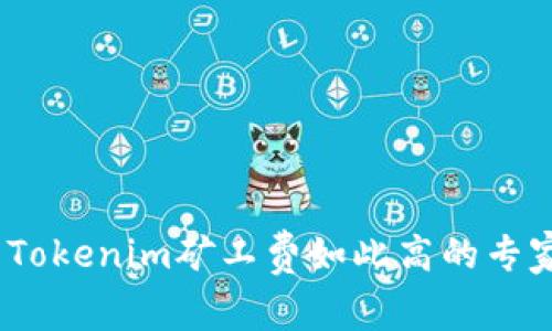 独家揭秘：为什么Tokenim矿工费如此高的专家分析与解决秘诀