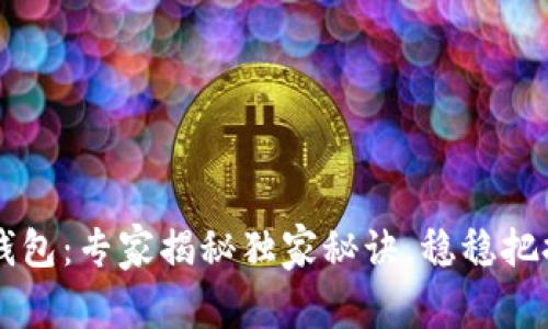 区块链新一代钱包：专家揭秘独家秘诀，稳稳把握数字资产未来
