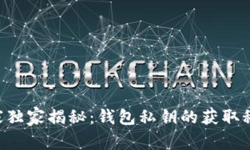 专家独家揭秘：钱包私钥的获取秘诀!