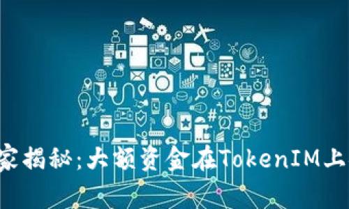 专家独家揭秘：大额资金在TokenIM上安全吗？