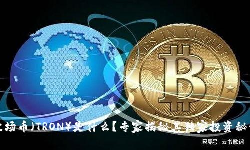 波场币（TRON）是什么？专家揭秘其独家投资秘诀