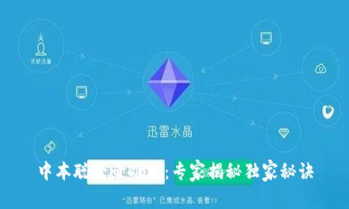 中本聪登录难题：专家揭秘独家秘诀