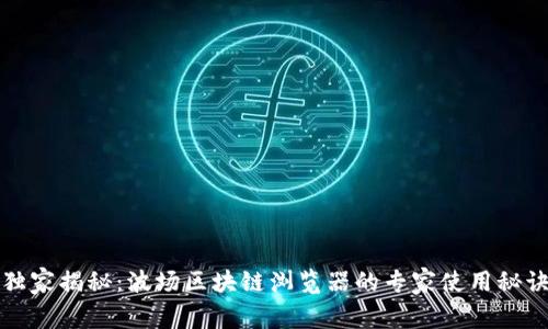 独家揭秘：波场区块链浏览器的专家使用秘诀