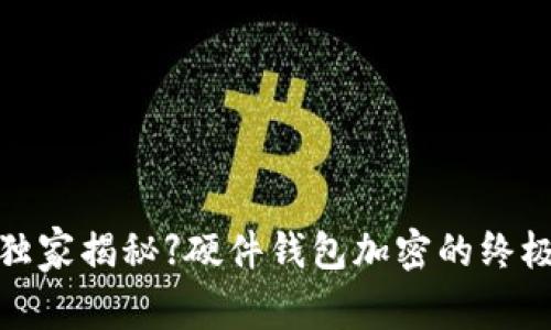 【专家独家揭秘】硬件钱包加密的终极秘诀！