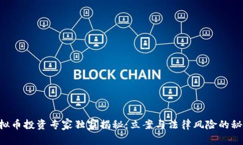 虚拟币投资专家独家揭秘：立案与法律风险的秘诀！