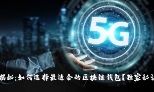 专家揭秘：如何选择最适合的区块链钱包？独家秘诀解析