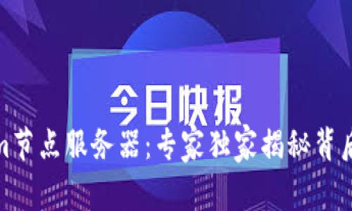 Tokenim节点服务器：专家独家揭秘背后的秘诀