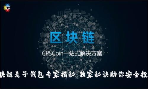 区块链麦子钱包专家揭秘：独家秘诀助你安全投资！