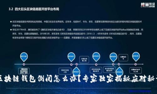 区块链钱包倒闭怎么办？专家独家揭秘应对秘诀