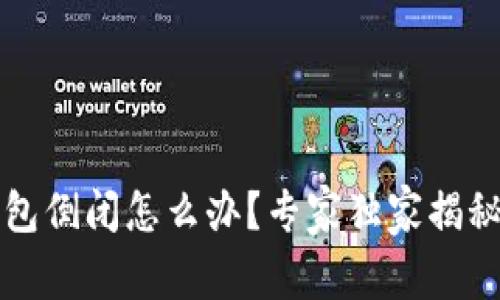 区块链钱包倒闭怎么办？专家独家揭秘应对秘诀