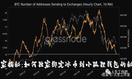 专家揭秘：如何独家绑定冰币到小狐狸钱包的秘诀