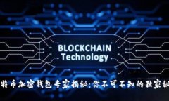 比特币加密钱包专家揭秘