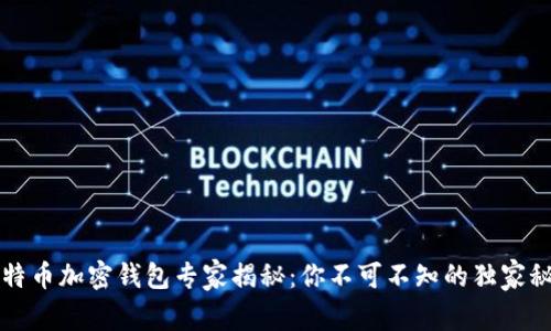 比特币加密钱包专家揭秘：你不可不知的独家秘诀