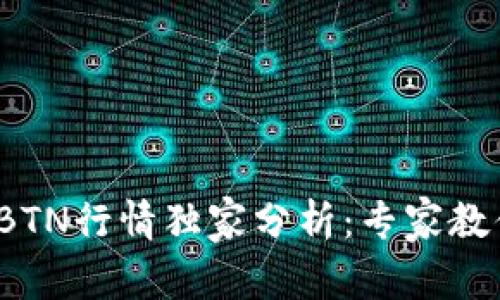 2023年虚拟币BTN行情独家分析：专家教你抓住投资秘诀