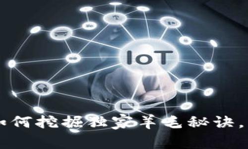 Tokenim专家揭秘：如何挖掘独家羊毛秘诀，让你的投资更有价值